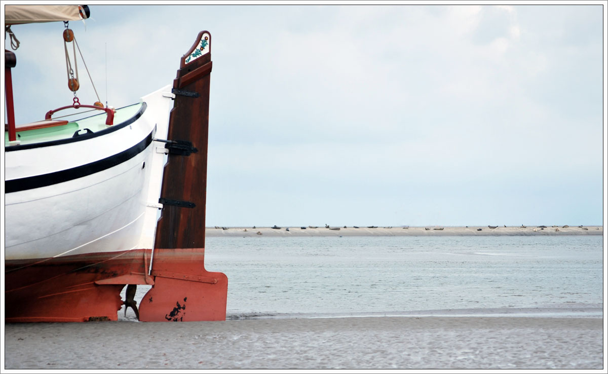 Neue Fotos Wochent&ouml;rn Wattenmeer Inseln