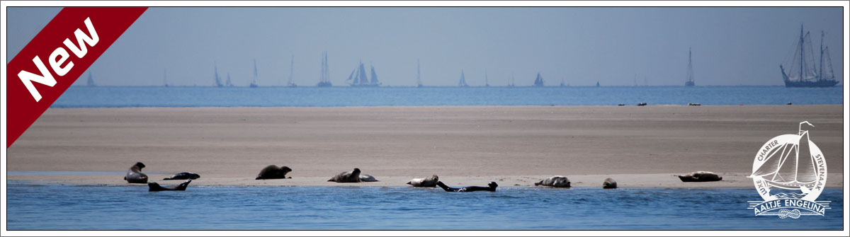 Wattenmeer Cruise August